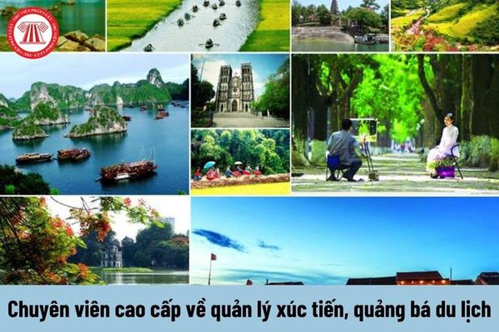Hotspot Matrix: Biến Thu Hòa (Mẹ bé Bắp) đã quên thành cơ hội marketing đột phá