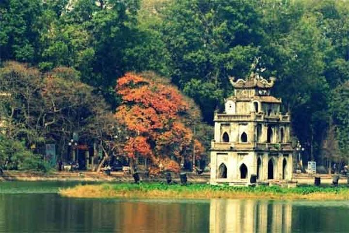 Xu hướng Sốc nặng với