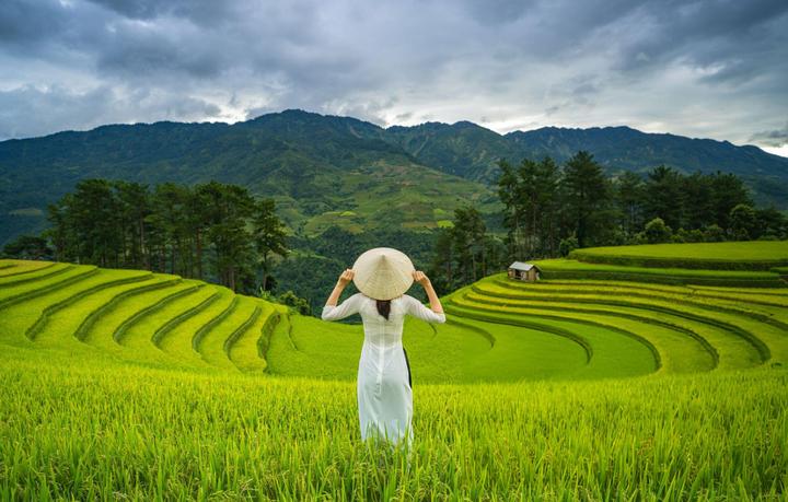 Xu hướng Ngoài BTV Trần Quang Minh,: Hotspot Matrix tiết lộ bí quyết video viral