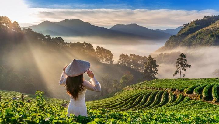Từ Sân khấu Sao Live Đỉnh Chóp: đến chiến lược content: Hotspot Matrix chia sẻ