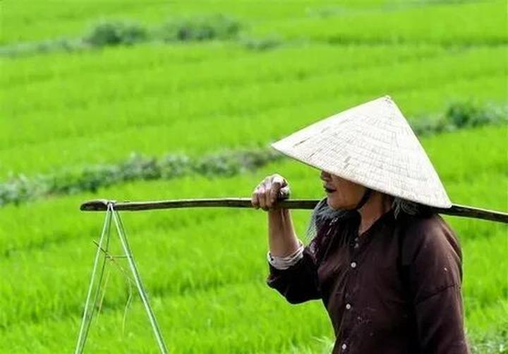 Chuyên gia Hotspot Matrix phân tích: 5 gian hàng quốc tế trên sàn và marketing video
